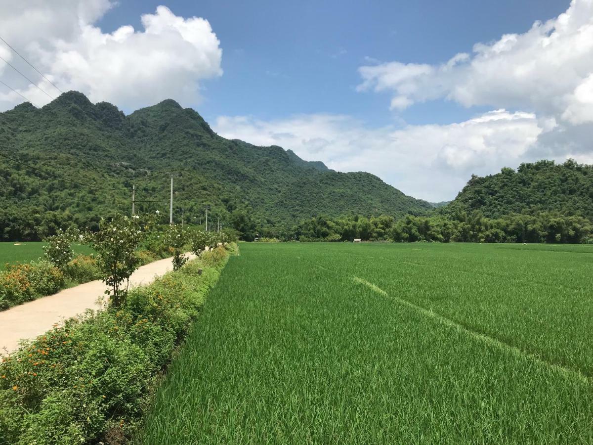 Jomo House Mai Chau Otel Hòa Bình Dış mekan fotoğraf