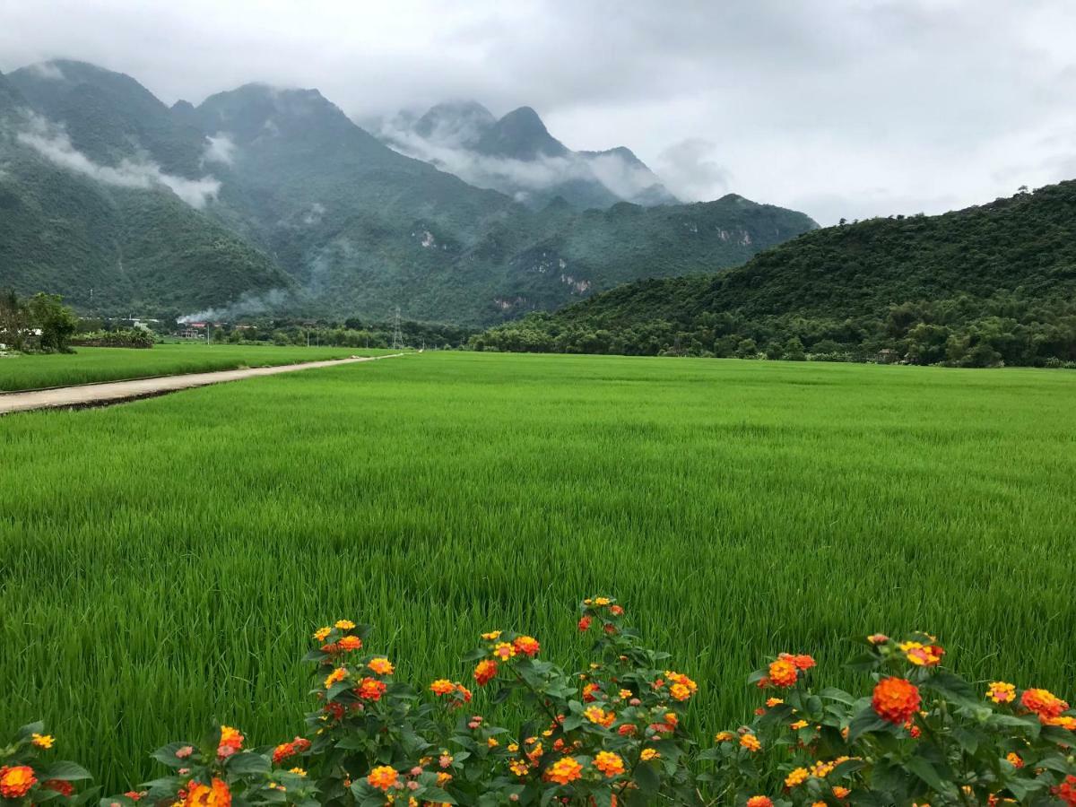 Jomo House Mai Chau Otel Hòa Bình Dış mekan fotoğraf