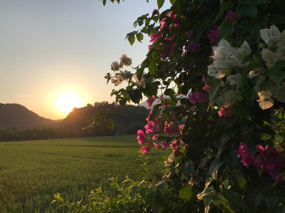 Jomo House Mai Chau Otel Hòa Bình Dış mekan fotoğraf