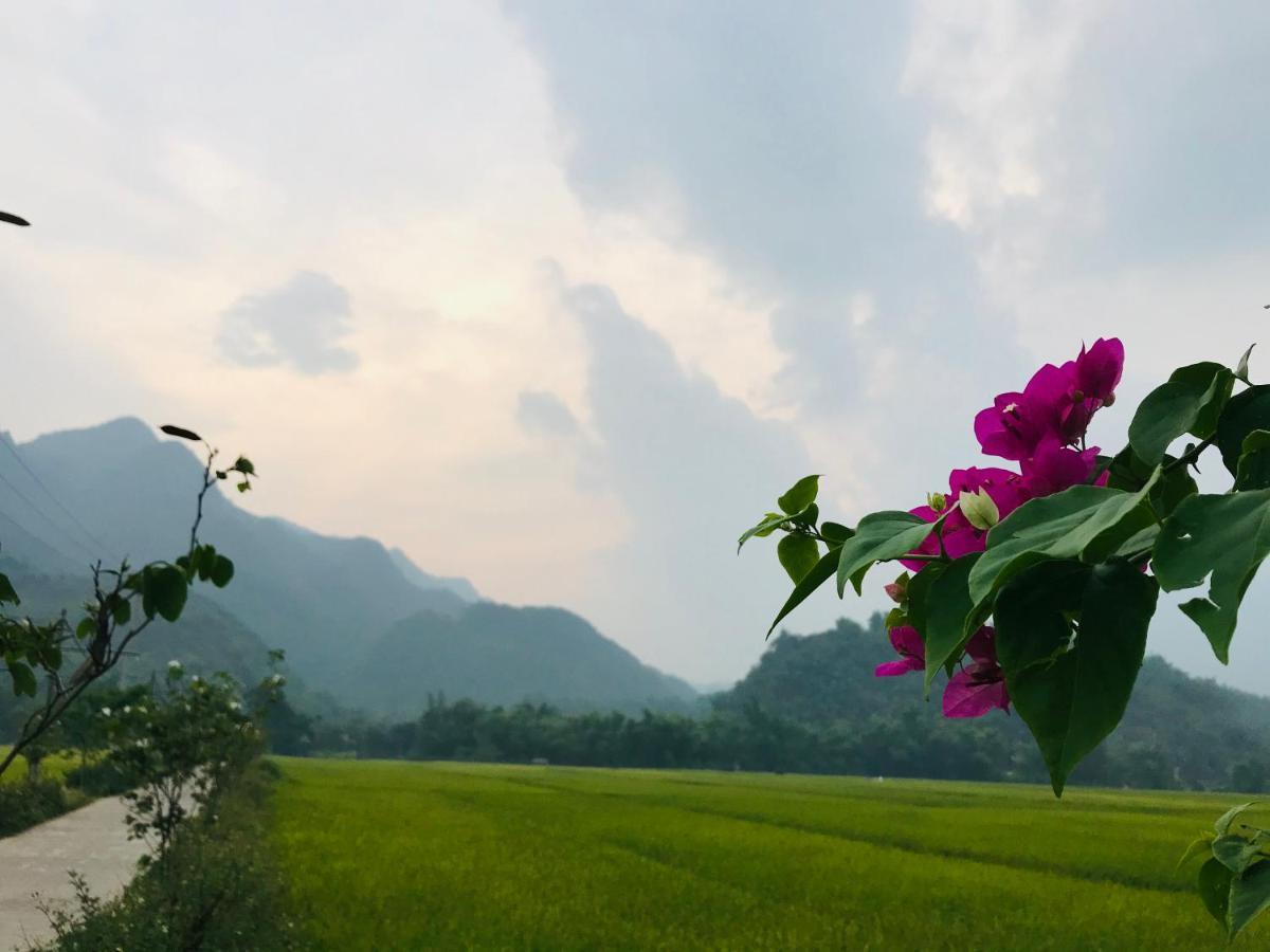 Jomo House Mai Chau Otel Hòa Bình Dış mekan fotoğraf