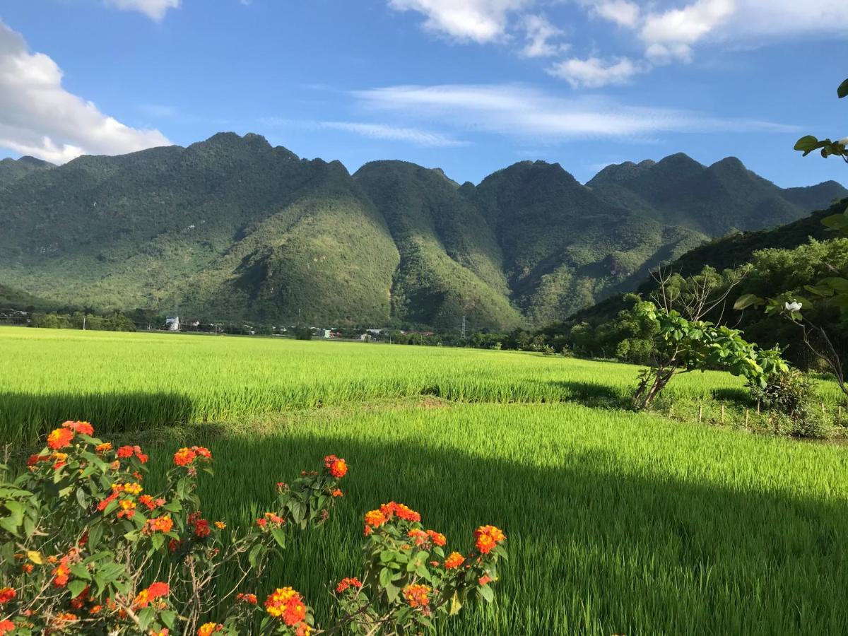 Jomo House Mai Chau Otel Hòa Bình Dış mekan fotoğraf