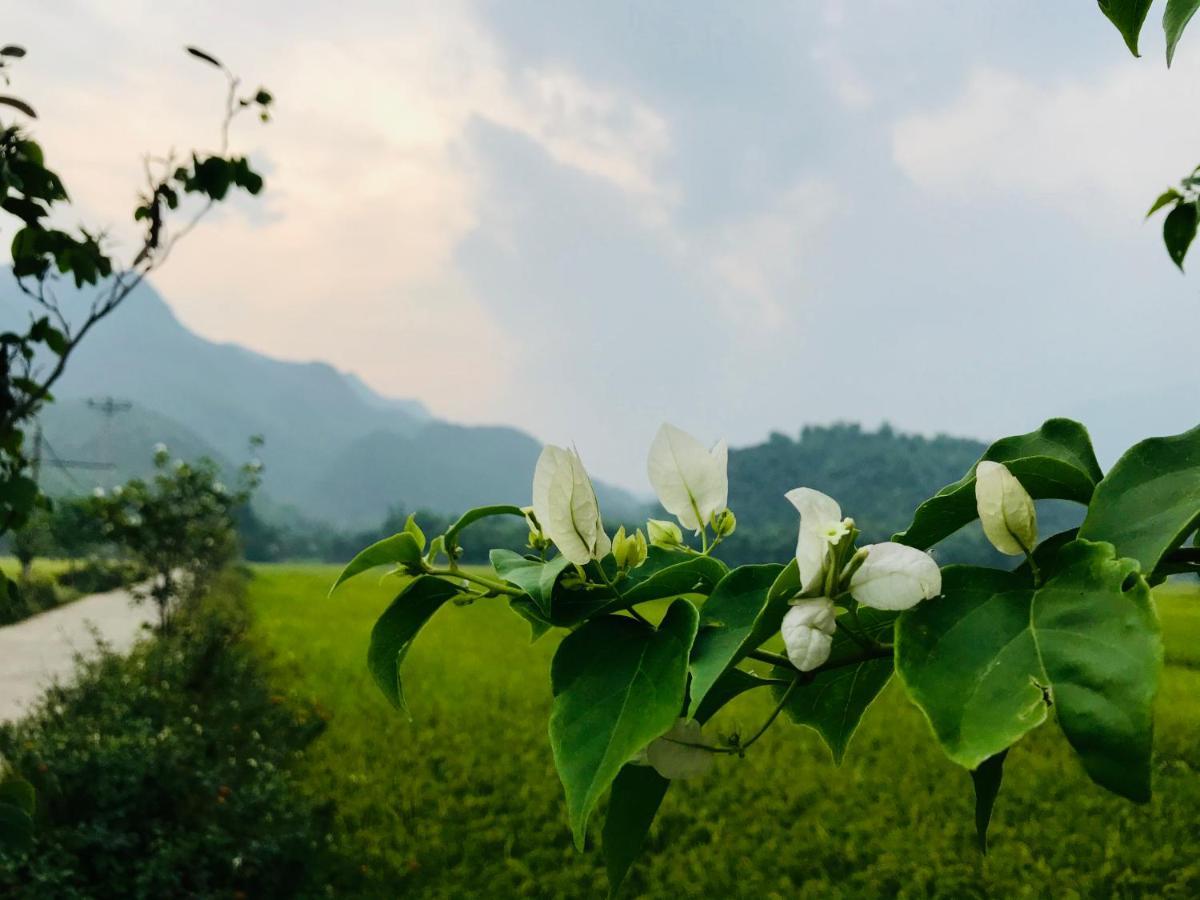 Jomo House Mai Chau Otel Hòa Bình Dış mekan fotoğraf